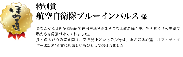 特別賞　航空自衛隊ブルーインパルス様